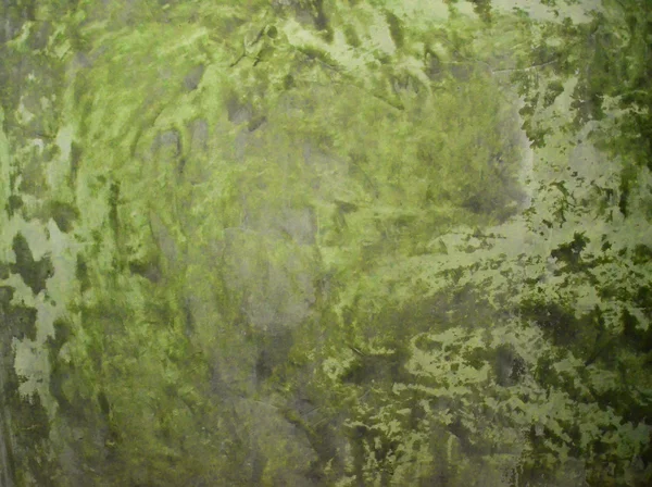 緑の壁、洗練されたセメント — ストック写真