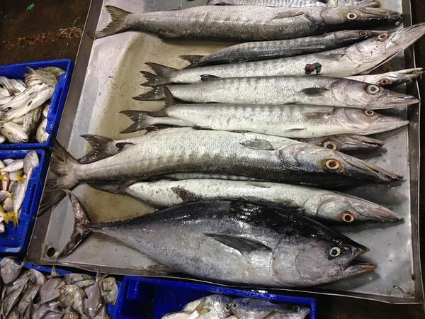 Poissons de mer frais en boîtes — Photo