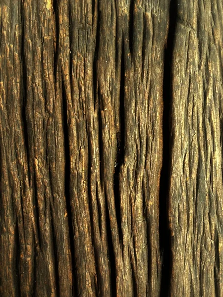 Legno vecchio — Foto Stock