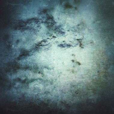 champiñón en negro