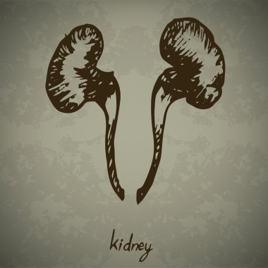 Doodle людини нирок