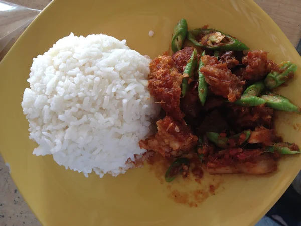 Thailand gebakken varkensvlees curry — Stockfoto