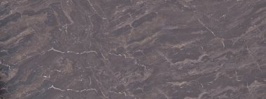 Black Cappucino Polished Quartzite stone texture background, Plate Banner