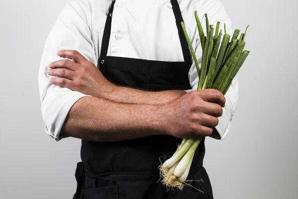 Chefe. — Fotografia de Stock