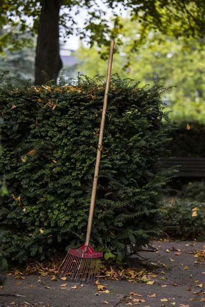 Gartenarbeit — Stockfoto