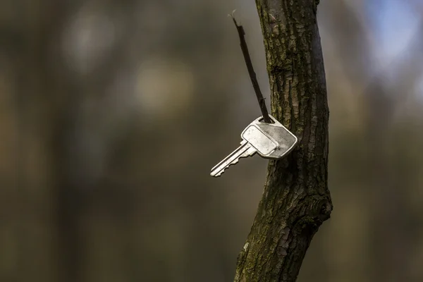 Nalezen klíč — Stock fotografie