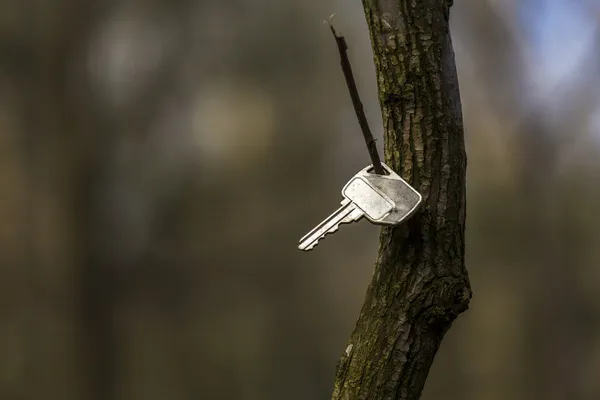 Hittade nyckeln Stockbild