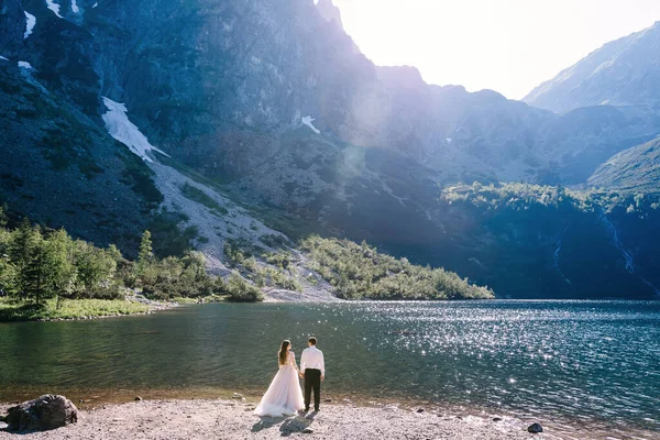 Moment Der Hochzeit Blicken Die Frischvermählten Auf Den See Rückansicht — Stockfoto