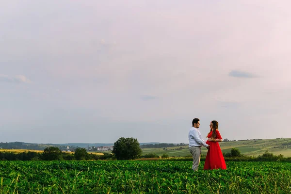 丈夫和他怀孕的妻子日落时正在外面的田里散步 户外运动主题浪漫怀孕 — 图库照片