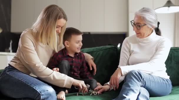 Familie Van Generaties Samen Woonkamer Thuis Ontspannen Met Oma Oma — Stockvideo