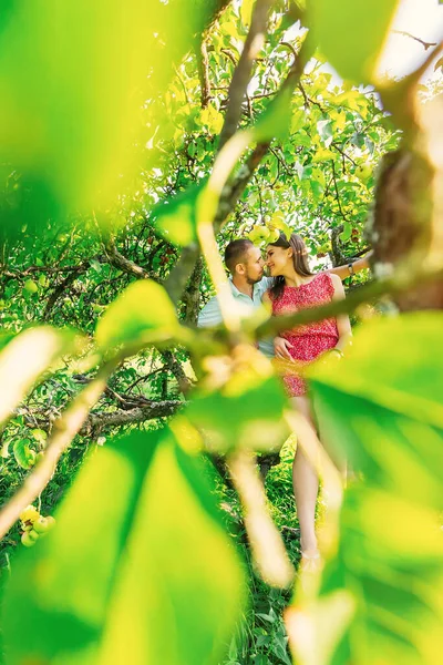 Happy Young Couple Kissing Hugging Sitting Tree Branch Green Leaves — 스톡 사진