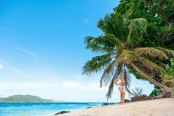 Woman Tourist White Swimsuit Tropical Beach Palm Tree Digue Seychelles — Stockfoto