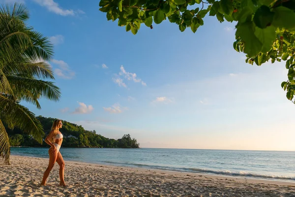 Ung Attraktiv Blond Flicka Nära Handflatan Vild Strand Sommarsemester — Stockfoto