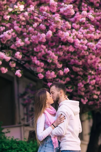 日本树开花结果很好 粉色的花围绕着女人和男人 性感之吻 — 图库照片