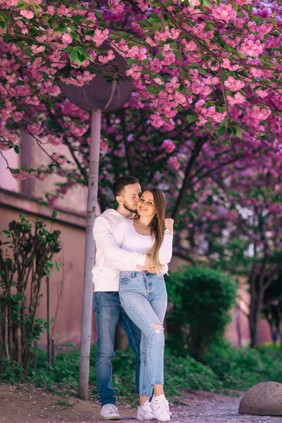 Закохана Пара Сонячний Весняний День Пара Йде Вздовж Алеї Сакури — стокове фото