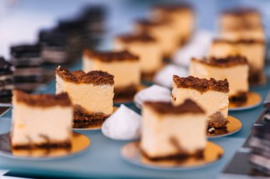 Süzme peynirli lezzetli turta dilimleri. Kapat. düğün partisi.