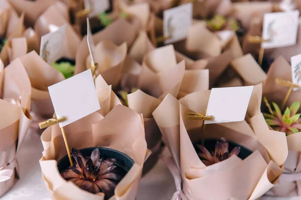 Primer Plano Pequeñas Macetas Salón Del Restaurante Regalos Para Los —  Fotos de Stock