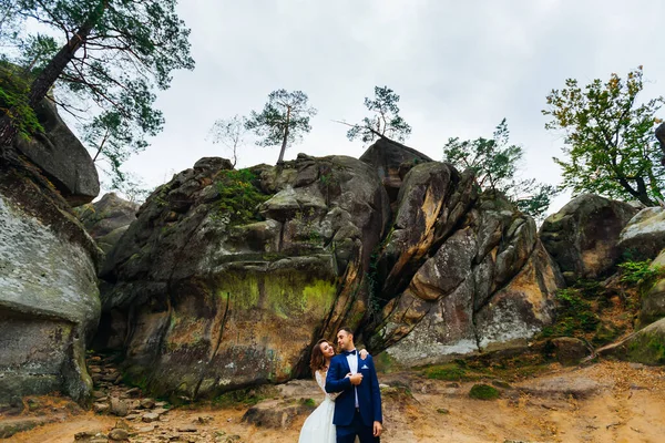 Rochers Pittoresques Sur Lesquels Des Arbres Mariée Embrasse Marié Arrière — Photo