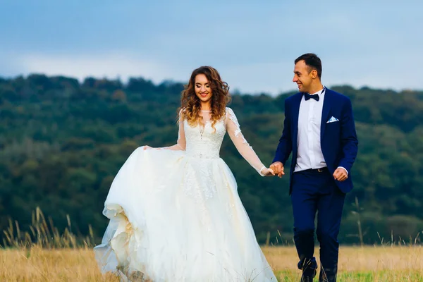 Los Recién Casados Toman Mano Caminan Sobre Césped Sobre Fondo —  Fotos de Stock