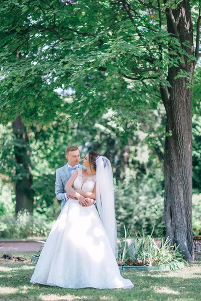 新郎新娘幸福地拥抱在一起 站在绿色的公园里 — 图库照片