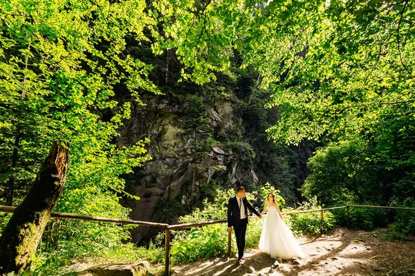 Young Groom Blue Suit Walks Park Green Plants Holding Hand — Foto Stock