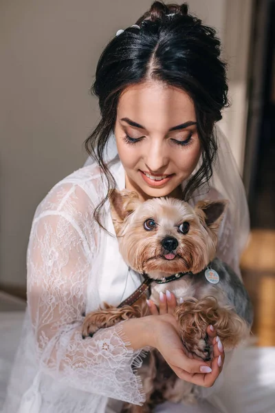 Morning Bride Her Favorite Pet Yorkshire Terrier — Stock Photo, Image