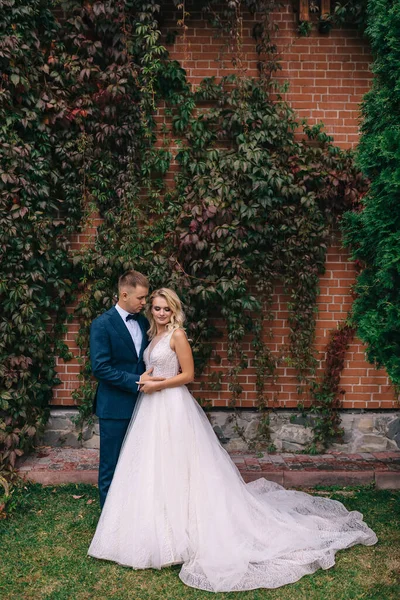 Beau Couple Mariage Dans Parc Étreignez Vous Sur Fond Mur — Photo