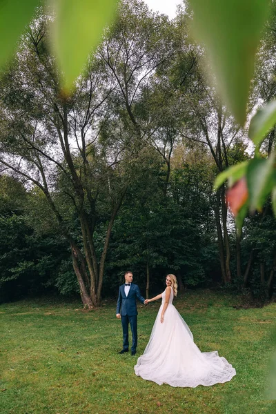 Stijlvol Paar Gelukkige Pasgetrouwden Wandelen Het Park Hun Trouwdag — Stockfoto