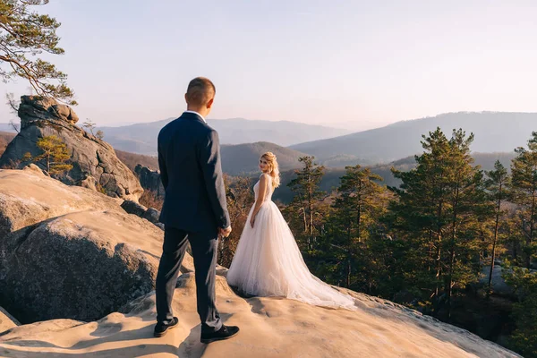 美丽的新娘和新郎站在岩石中间 — 图库照片