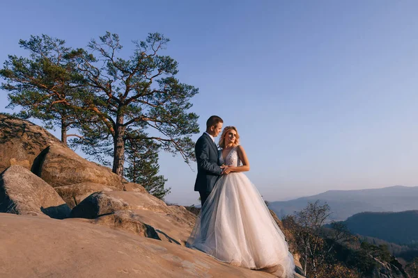 Een Prachtige Opname Van Een Romantisch Bruidspaar Bruidegom Een Prachtige — Stockfoto