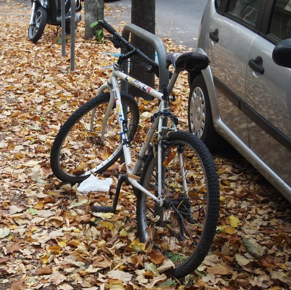 Bike on the carpet of leaves — Stock Photo, Image