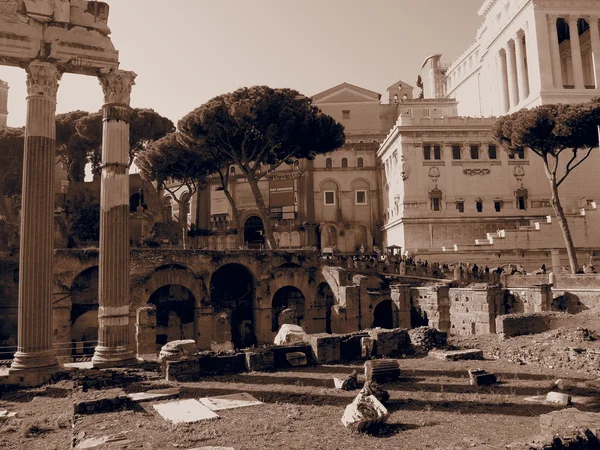 Roma ' nın kalıntıları palatine tepesi — Stok fotoğraf