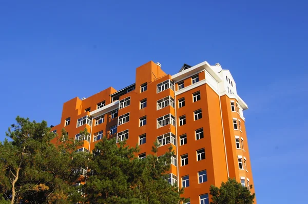 Heihe. New apartment building with pine trees — Stock Photo, Image