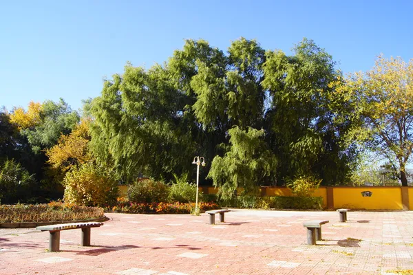 Patio del campus de la Universidad Heihe — Foto de Stock
