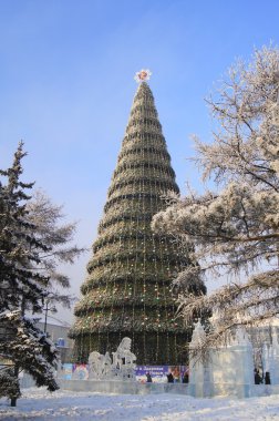 krasnoyarsk şehrin ana Noel ağacı