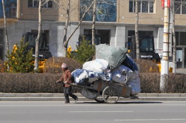 An elderly Chinese woman drags the laden wheelbarrow clipart