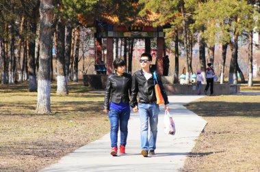 park yol boyunca yürüyüş Çince genç Çift