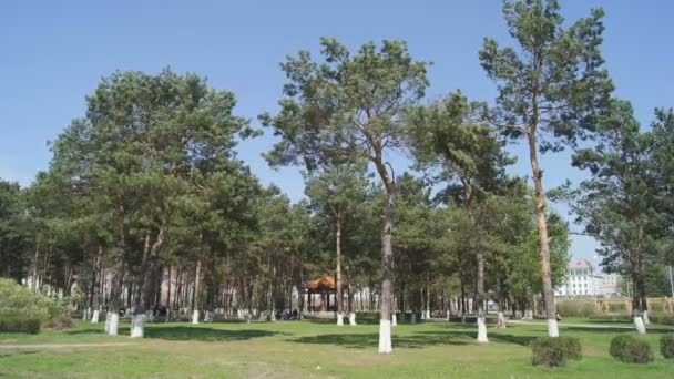 Parc Heihe Longbin Pines 01 