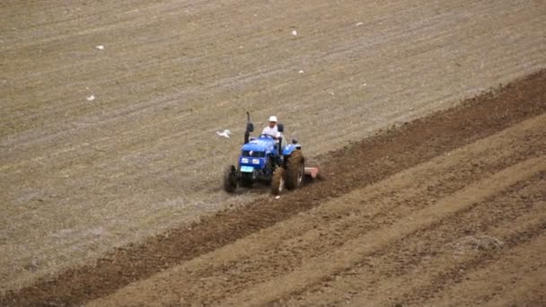 Tracteur labourant le champ de printemps 02 — Video