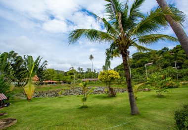 exotical Adası Tayland