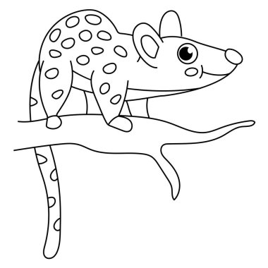 Şirin Tiger Quoll, siyah beyaz vektör çizimi..
