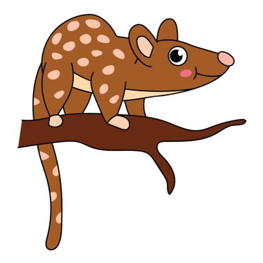 Şirin Kaplan Quoll, vektör çizimi..