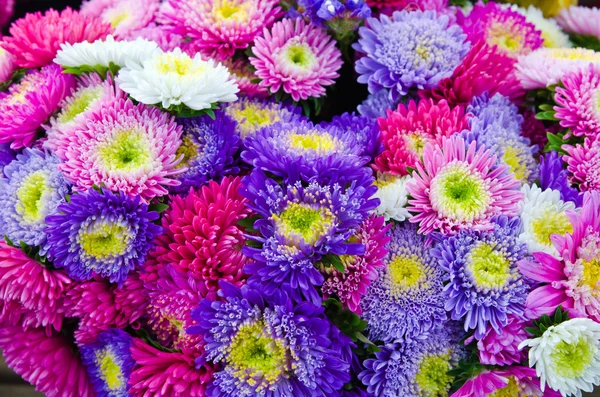 Szép virág csokor farm piacon Stock Kép