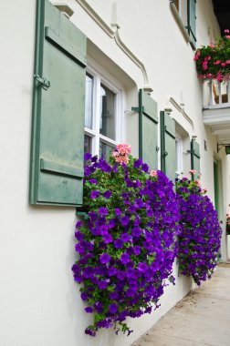 windows üzerinde çiçek kutusu