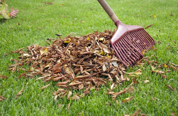 birlikte yaprak rake