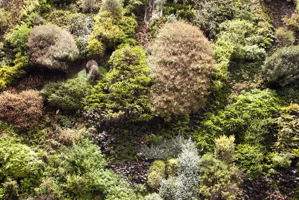 Bahçedeki yakın çekim