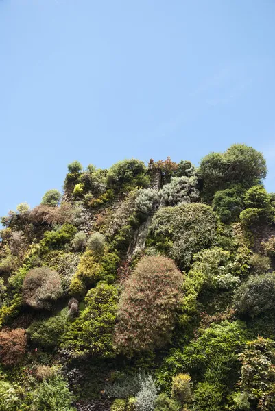 Bahçedeki çeşitli