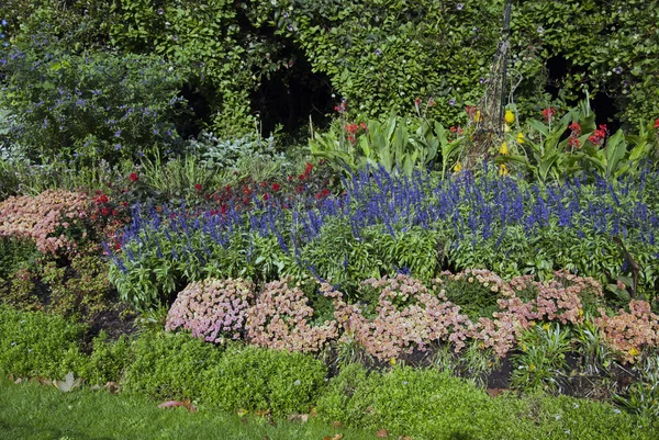 Bahçedeki çiçekler