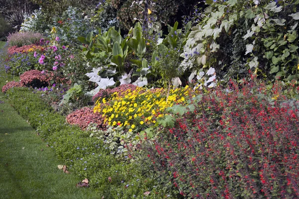 Çimenler ve Çiçekler