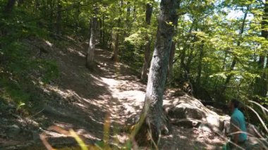 Bir turist ormanda yürüyor.